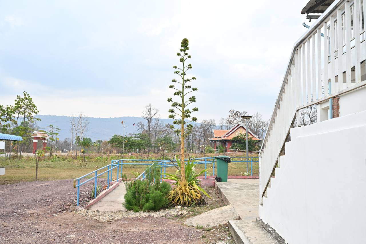 Image 31