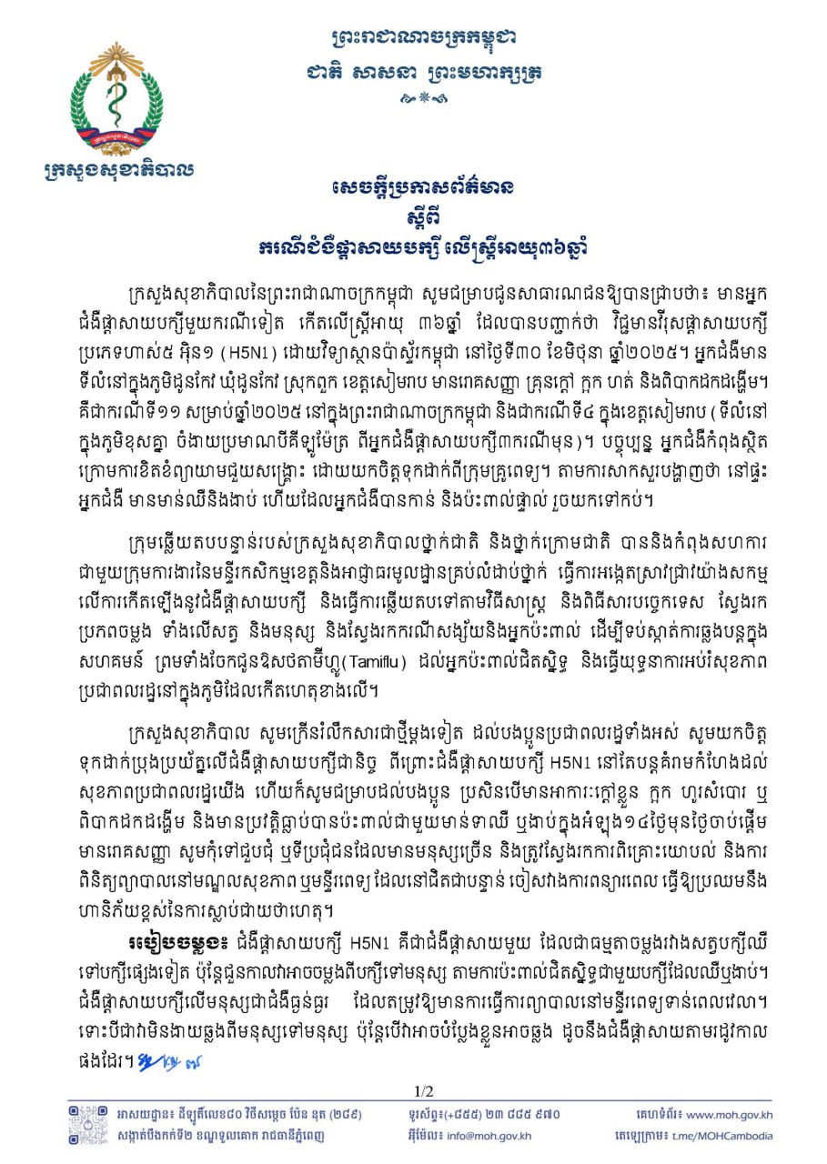 Descriptive Alt Text