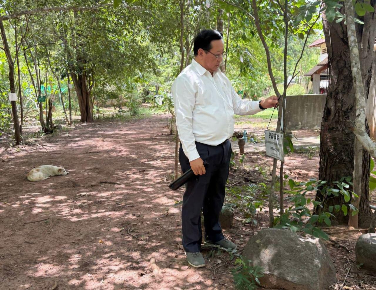 ការចុះពិនិត្យរុក្ខជាតិឱសថ នៅសួនរុក្ខជាតិឱសថ គិរីរម្យ ស្ថិតក្នុងស្រុកភ្នំស្រួច ខេត្តកំពង់ស្ពឺ
